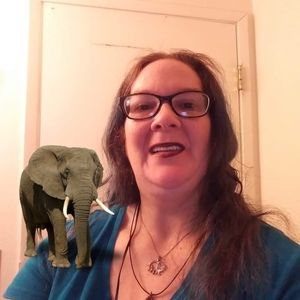 Meet your Posher, Liz